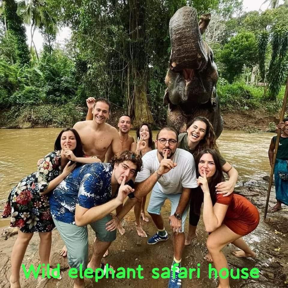 Elephant Park Family Bungalow Udawalawe Bagian luar foto
