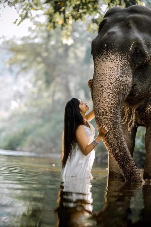 Elephant Park Family Bungalow Udawalawe Bagian luar foto