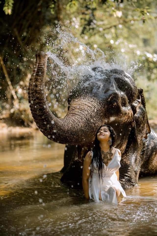 Elephant Park Family Bungalow Udawalawe Bagian luar foto
