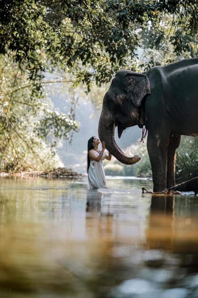 Elephant Park Family Bungalow Udawalawe Bagian luar foto