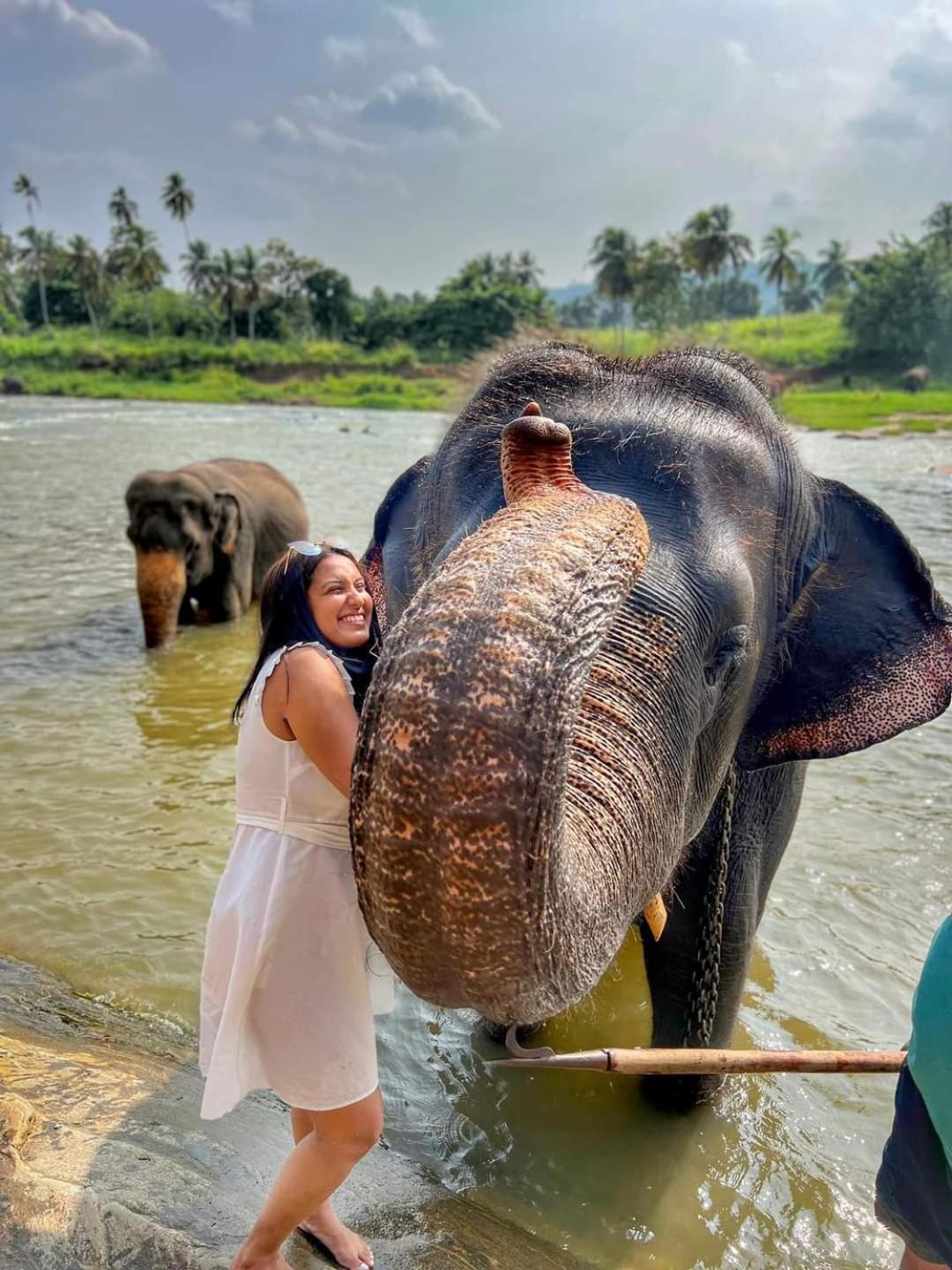 Elephant Park Family Bungalow Udawalawe Bagian luar foto