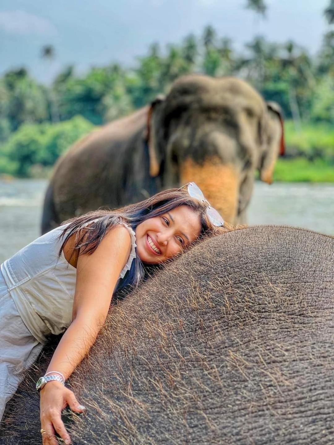 Elephant Park Family Bungalow Udawalawe Bagian luar foto
