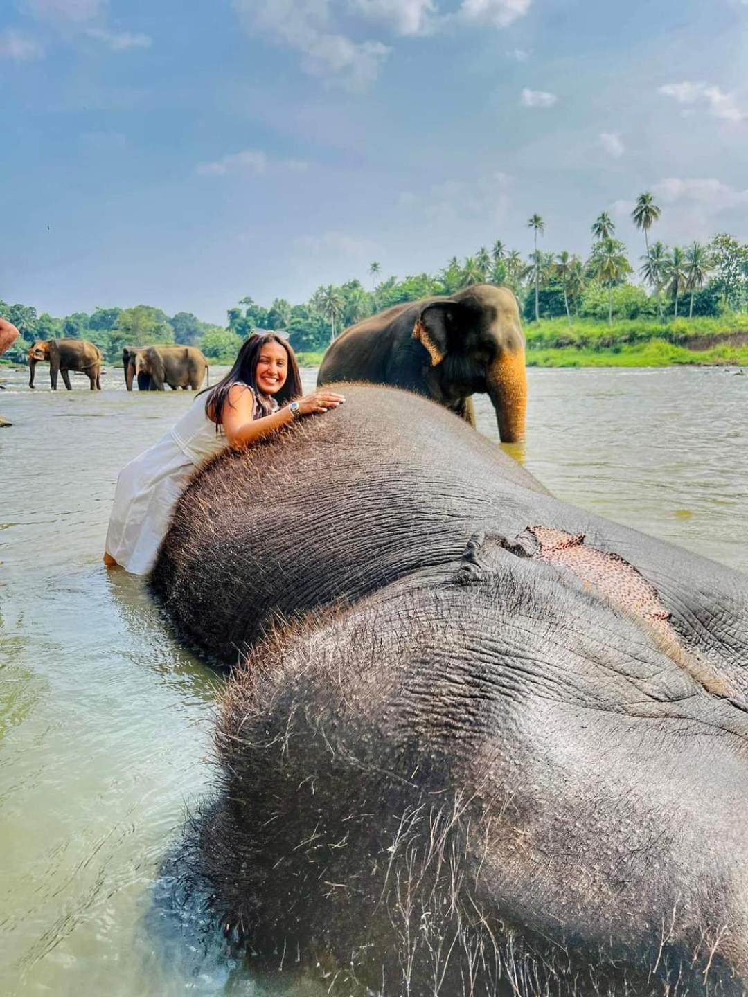 Elephant Park Family Bungalow Udawalawe Bagian luar foto